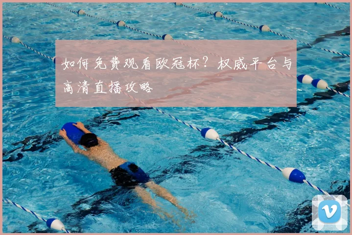 如何免费观看欧冠杯？权威平台与高清直播攻略