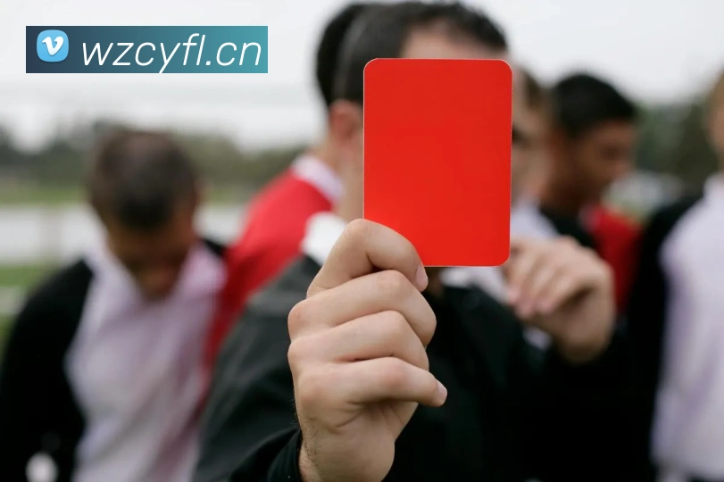 电子娱乐pg网站下载安装服务体系